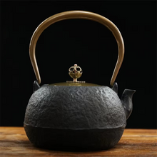 Load image into Gallery viewer, Handmade Cast Iron Enamel Teapot for Fireplace or Stovetop Brewing
