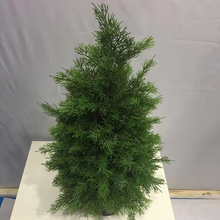 Load image into Gallery viewer, Artificial Cypress Branch with Pine Needle Leaves for Holiday and Everyday Decor
