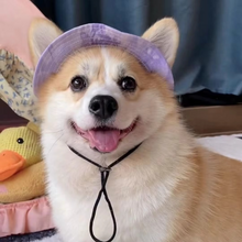 Load image into Gallery viewer, Chic Pet Sun Hat - Lightweight &amp; Stylish Sun Protection for Dogs and Cats
