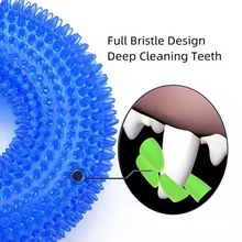 Load image into Gallery viewer, Durable Interactive Squeaky Dog Training Ring - TPR Rubber Teeth Cleaner
