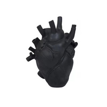 Load image into Gallery viewer, Anatomical Heart Vase - Personalized 3D Sculpture Planter for Home &amp; Classroom Decor
