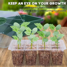 Load image into Gallery viewer, 12-Cell Plastic Seedling Starter Tray for Succulent and Garden Seeds
