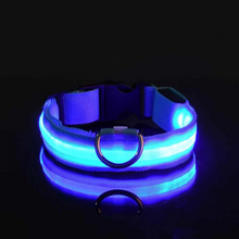 Load image into Gallery viewer, LED Glow in the Dark Dog Leash with Nylon Safety Light

