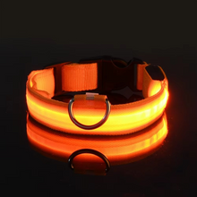 Load image into Gallery viewer, LED Glow in the Dark Dog Leash with Nylon Safety Light
