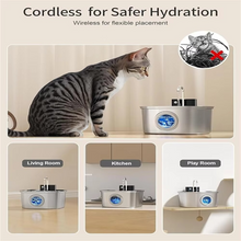 Load image into Gallery viewer, Large Capacity Automatic Pet Hydration Station with USB Charging and Smart Sensor
