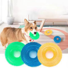Load image into Gallery viewer, Durable Interactive Squeaky Dog Training Ring - TPR Rubber Teeth Cleaner
