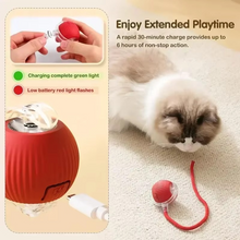 Load image into Gallery viewer, Rechargeable Automatic Cat Ball Toy with Dynamic Tail
