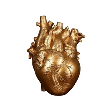 Load image into Gallery viewer, Anatomical Heart Vase - Personalized 3D Sculpture Planter for Home &amp; Classroom Decor
