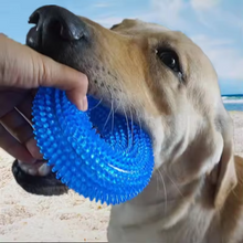Load image into Gallery viewer, Durable Interactive Squeaky Dog Training Ring - TPR Rubber Teeth Cleaner
