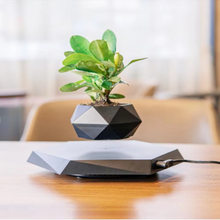 Load image into Gallery viewer, Levitating Plant Pot – Magnetic Floating Planter
