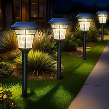 Load image into Gallery viewer, Solar LED Waterproof Ground Lights for Outdoor Gardens and Pathways
