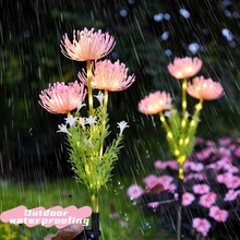 Load image into Gallery viewer, Solar Powered Flower Garden Lights, Outdoor Waterproof Decorative Landscape Lamps, Set of 2

