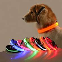 Load image into Gallery viewer, LED Glow in the Dark Dog Leash with Nylon Safety Light
