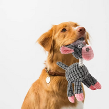 Load image into Gallery viewer, Donkey Delight Chew Toy for Dogs - Durable &amp; Squeaky
