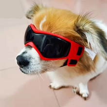 Load image into Gallery viewer, Protective UV Sunglasses for Small Dogs with Adjustable Straps
