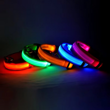 Load image into Gallery viewer, LED Glow in the Dark Dog Leash with Nylon Safety Light
