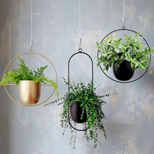 Load image into Gallery viewer, Adjustable Wire Rope Hanging System with Spring Hook and Stainless Steel Cable
