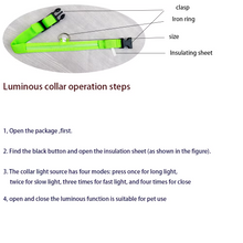 Load image into Gallery viewer, LED Glow in the Dark Dog Leash with Nylon Safety Light

