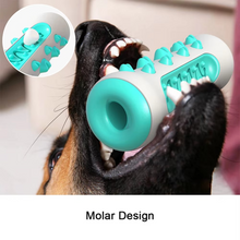Load image into Gallery viewer, Large Dog Toothbrush Chew Toy for Dental Health and Treat Dispensing
