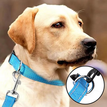 Load image into Gallery viewer, Reflective Comfort Collar for Dogs – Soft, Adjustable, and Breathable
