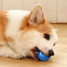 Load image into Gallery viewer, USB Rechargeable Interactive Pet Toy Ball for Dogs and Cats

