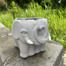 Load image into Gallery viewer, Adorable Cartoon-Styled Mini Plant Pot for Decorative Display

