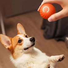 Load image into Gallery viewer, USB Rechargeable Interactive Pet Toy Ball for Dogs and Cats
