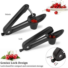 Load image into Gallery viewer, Stainless Steel Cherry and Olive Pitter Tool
