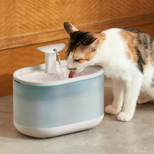 Load image into Gallery viewer, Silent USB Electric Pet Water Fountain with Auto Filtration
