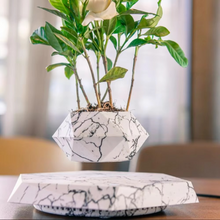 Load image into Gallery viewer, Levitating Plant Pot – Magnetic Floating Planter
