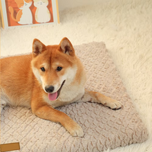 Load image into Gallery viewer, Orthopedic 3D Foam Pet Bed With Removable Washable Faux Fur Cover
