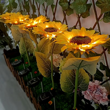 Load image into Gallery viewer, Solar-Powered LED Sunflower Lights for Gardens and Yards
