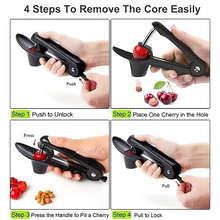 Load image into Gallery viewer, Stainless Steel Cherry and Olive Pitter Tool
