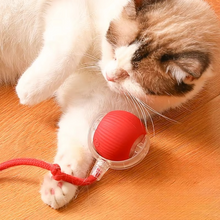 Load image into Gallery viewer, Interactive Cat Ball Toy with Faux Tail, Automatic Rolling Smart Mouse Imitation Pet Trainer
