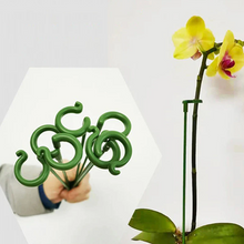 Load image into Gallery viewer, Plant Support Stakes for Indoor and Outdoor Plants, Fiberglass Construction

