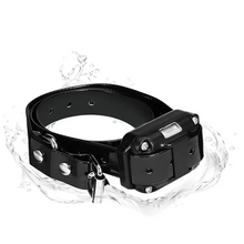 Load image into Gallery viewer, Electric Anti Bark Collar for Dogs, Waterproof with Long Range Remote
