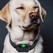 Load image into Gallery viewer, Electric Anti Bark Collar for Dogs, Waterproof with Long Range Remote
