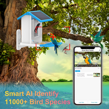 Load image into Gallery viewer, Solar-Powered Smart Bird Feeder with HD AI Camera
