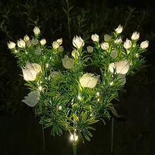 Load image into Gallery viewer, Solar Gardenia Flower Lights Outdoor Waterproof 42 LED Landscape Lights for Garden and Pathway Decor
