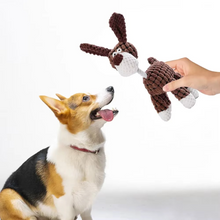 Load image into Gallery viewer, Donkey Delight Chew Toy for Dogs - Durable &amp; Squeaky
