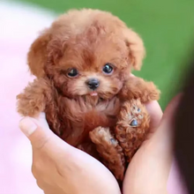 Load image into Gallery viewer, Interactive Plush Puppy Dog Toy – Realistic Smart Simulation for Kids and Toddlers
