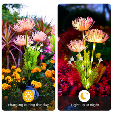 Load image into Gallery viewer, Solar Powered Flower Garden Lights, Outdoor Waterproof Decorative Landscape Lamps, Set of 2
