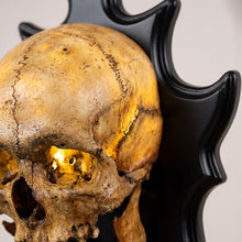 Load image into Gallery viewer, Wall Mounted Skull Lamp -  Nocturiskull
