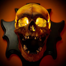 Load image into Gallery viewer, Wall Mounted Skull Lamp -  Nocturiskull
