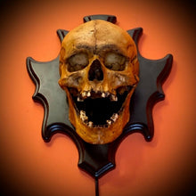 Load image into Gallery viewer, Wall Mounted Skull Lamp -  Nocturiskull
