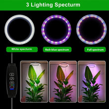Load image into Gallery viewer, Full Spectrum Ring Grow Light with Adjustable Brightness and Telescoping Stand
