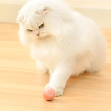 Load image into Gallery viewer, 2 in 1 Simulated Interactive Hunting Cat Toy

