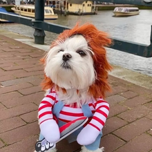 Load image into Gallery viewer, Chucky-Inspired Pet Costume for Dogs and Cats
