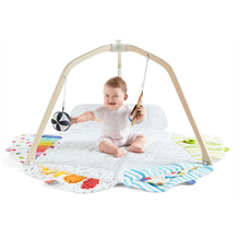 Load image into Gallery viewer, Kids Playground Gym
