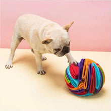 Load image into Gallery viewer, SniffBall Dog Snuffle Toy Interactive Treat Search Ball

